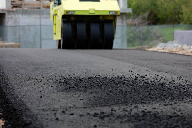 Best Driveway Paving Contractor  in Delavan Lake, WI