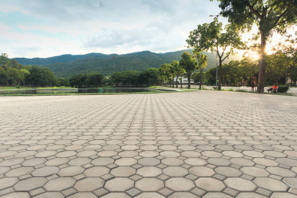 Best Driveway Paving Contractor  in Delavan Lake, WI
