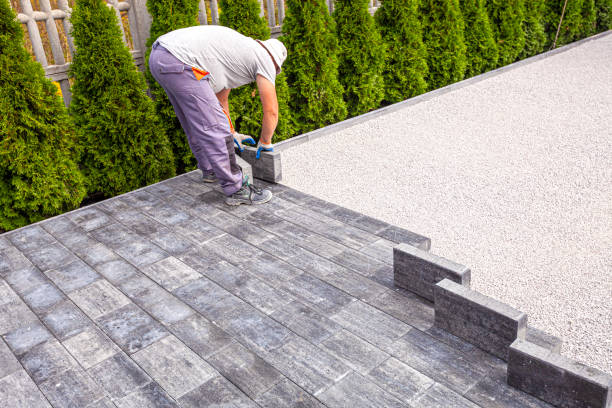 Best Driveway Paving Contractor  in Delavan Lake, WI